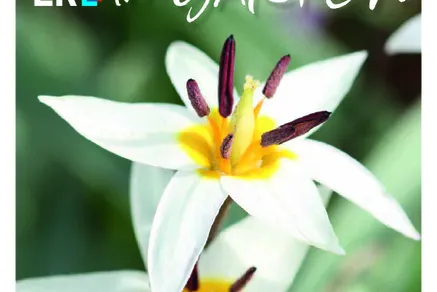 Titel der Frühjahrsausgabe